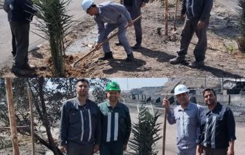 کاشت نهال توسط مدیرعامل کزغال به مناسبت روز زمین پاک